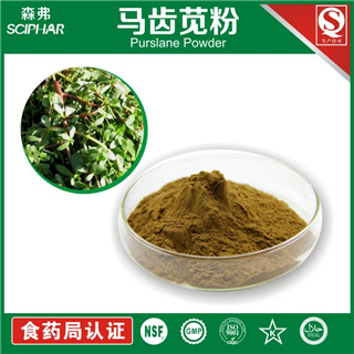 <b>馬齒莧粉</b>銷售熱線:15389189185