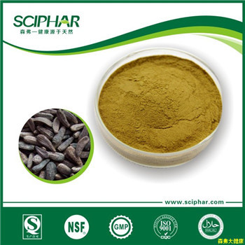 <b>牛蒡子提取物</b>