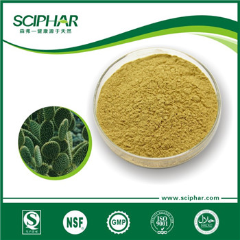 仙人掌提取物