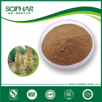 <b>肉蓯蓉提取物</b>