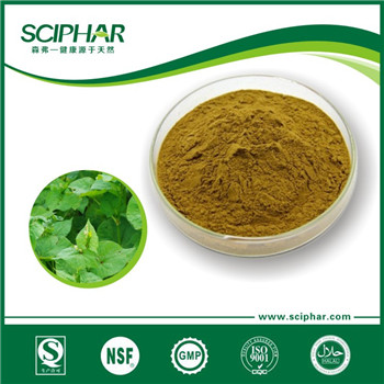 <b>苦蕎提取物</b>