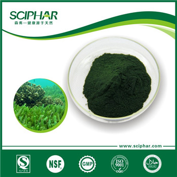 <b>海藻提取物</b>