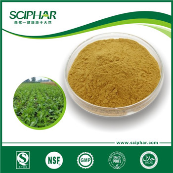 <b>白術提取物 </b>