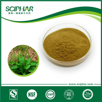 <b>圓苞車前子殼粉</b>