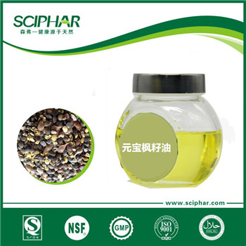 元寶楓籽油