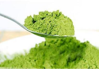 大麥苗粉的功效與作用及適應人群